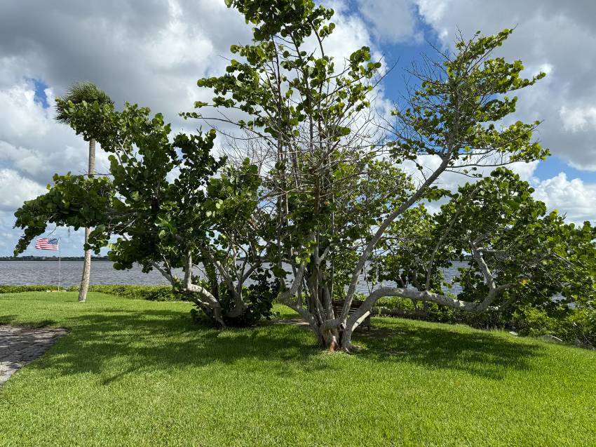 6505 Us Highway 301 N Lot D21 a Ellenton, FL Mobile or Manufactured Home for Sale